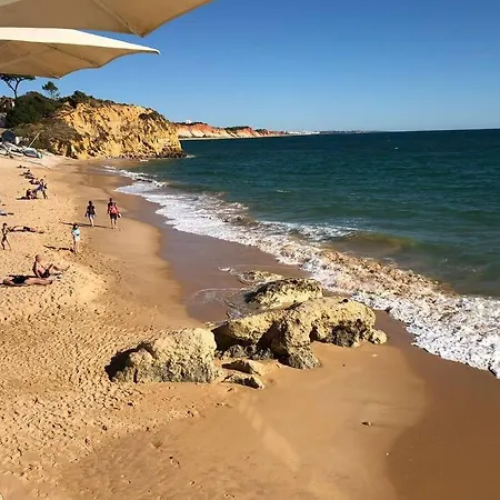 Appartement A Albufeira A 400 M De La Plage *